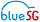 BLUESG PTE. LTD.